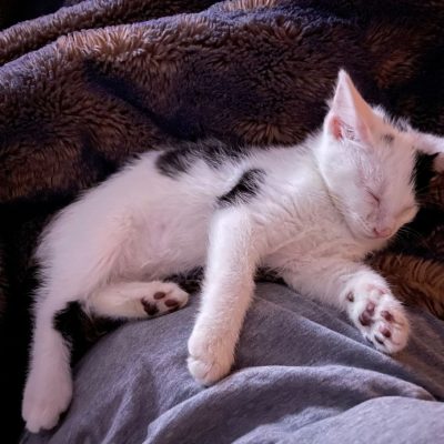 335535A3-4BD5-4028-B899-AC018AADBCA7