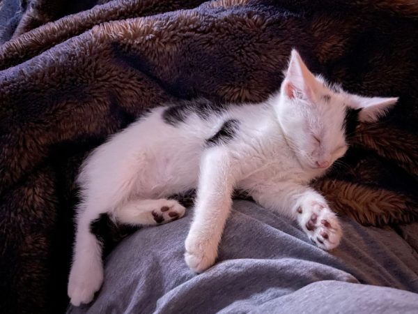 335535A3-4BD5-4028-B899-AC018AADBCA7