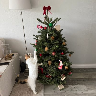 3734B772-4F06-405C-B1E5-8005B8C1C19B