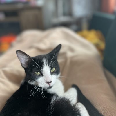 58598110-9B93-49B5-9837-76798F506F3A