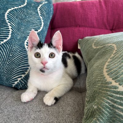 5C9087C4-A3DA-419D-9A8D-5D14310633B6