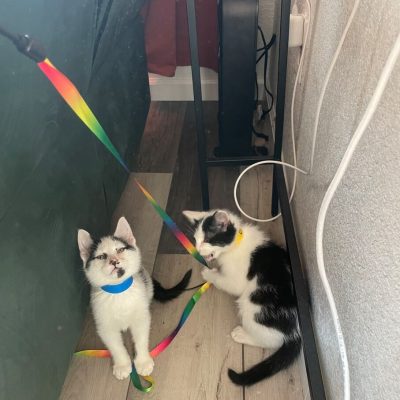 718054CC-B8C6-49A0-B433-8D5DA879BF22