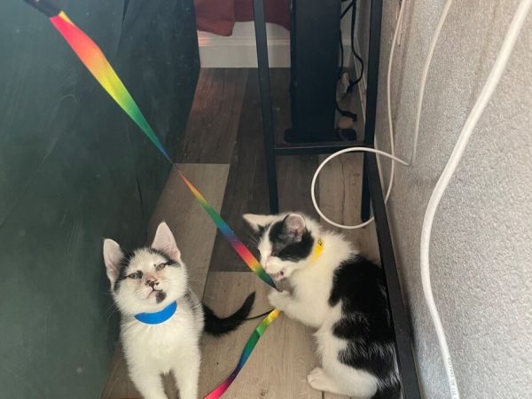 718054CC-B8C6-49A0-B433-8D5DA879BF22