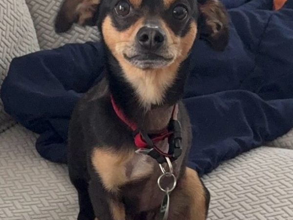 7e73b6f56e8e4b2b938f53704ab8c42a