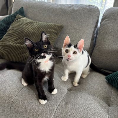 88F5E124-5150-4A99-80F4-468FD8C81A0B