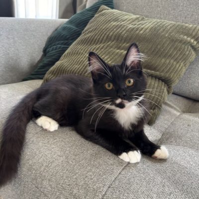 992CC6BF-F33A-425D-B853-509CD2FA8FD9 (1)