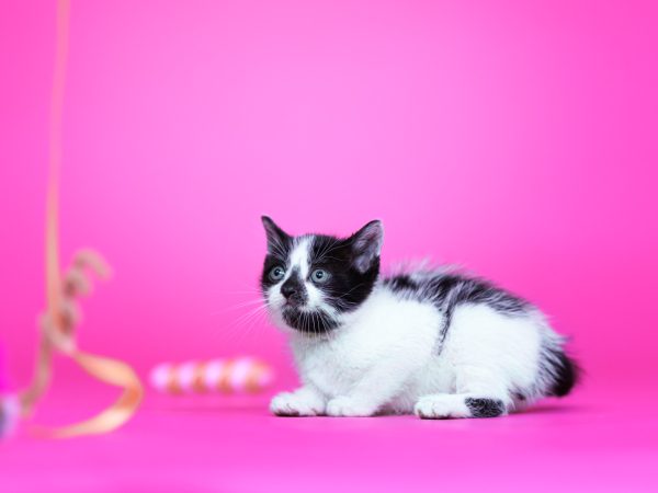 BHWebsite2026_04_16_IMG_9359