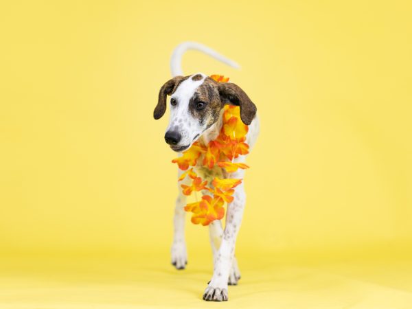 BHWebsite2026_09_20_IMG_1234