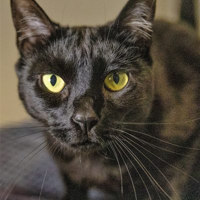 Delilah3 _N5A2177 edit