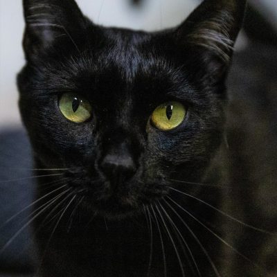 Delilah4 _N5A2182 edit