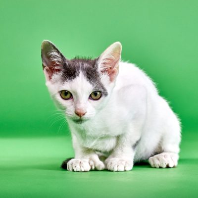 Dopey02 IMG_1725