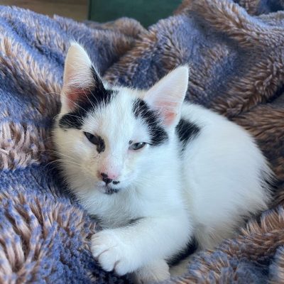 E6D3560A-CDBA-4CE9-AB21-A22CD69D133E (1)