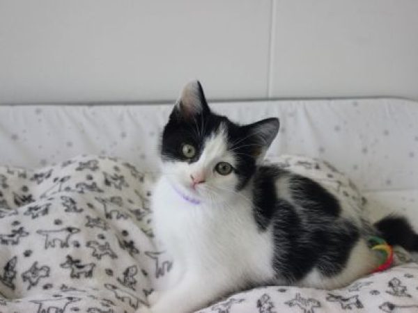 Eleanor (3)