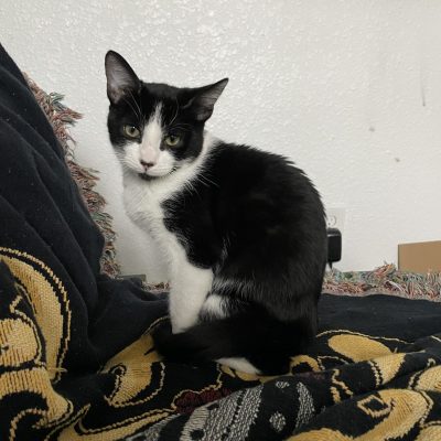 FD1D3F4A-BEAB-46CC-98F0-535DAB05B7DF