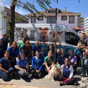 Berkeley Humane serves the people and animals of our community by providing life-saving programs for cats and dogs, strengthening the human-animal bond.