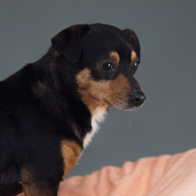 Frank04 _N5A4917