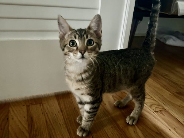 IMG_20260401_201447 (3)