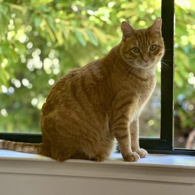 IMG_3570