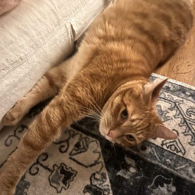Jax 2-02 IMG_4434