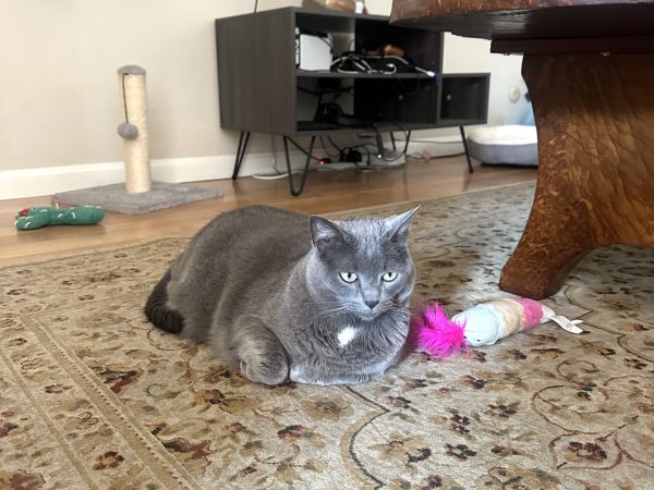 Juma02 image_67220481