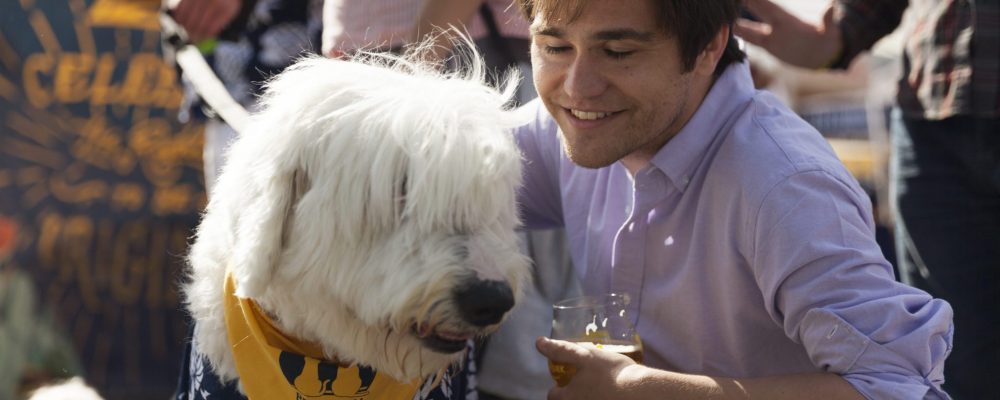 Mariners to host 'pints for paws' benefiting animal rescue shelters 