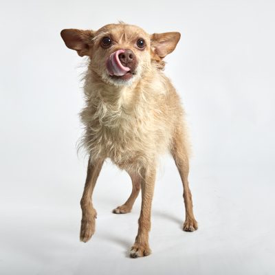 Kenzie_11142025_2H6A7583