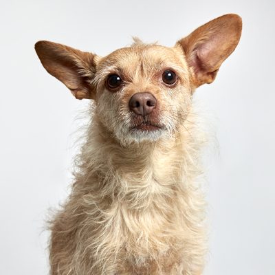 Kenzie_11142025_2H6A7584