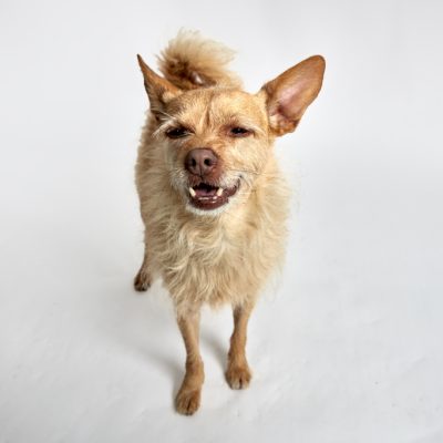 Kenzie_11142025_2H6A7613