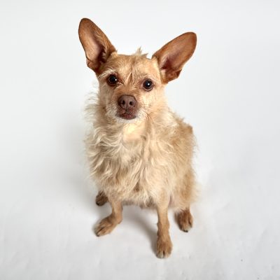 Kenzie_11142025_2H6A7615