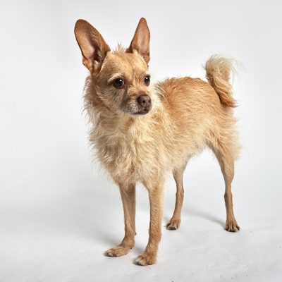 Kenzie_11142025_2H6A7630