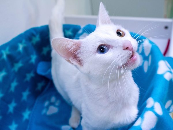KittyPhotoshoot-2026-05-27-33