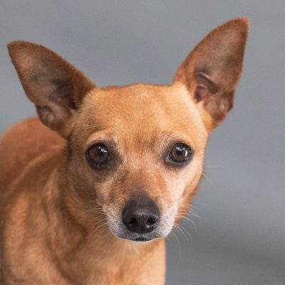 MIssy1 _N5A5081