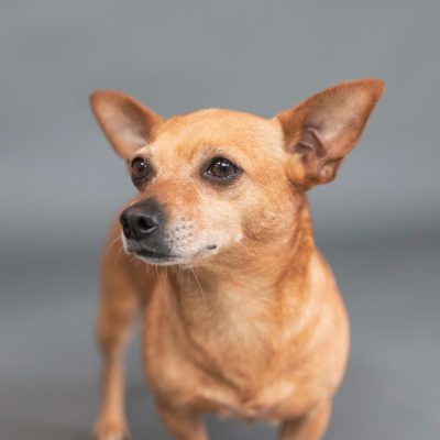 Missy5 _N5A5095