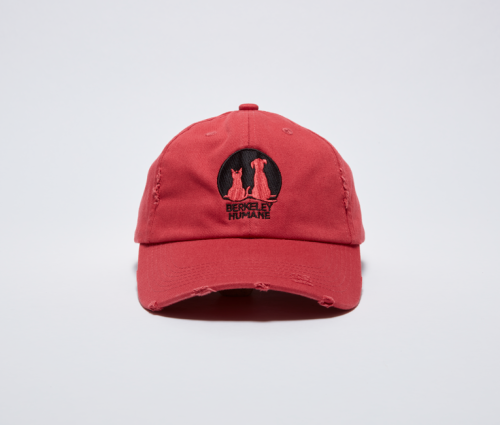 P4P_Merch_20250164