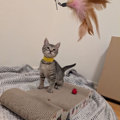 PXL_20251119_004836798