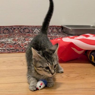 PXL_20251119_005439035