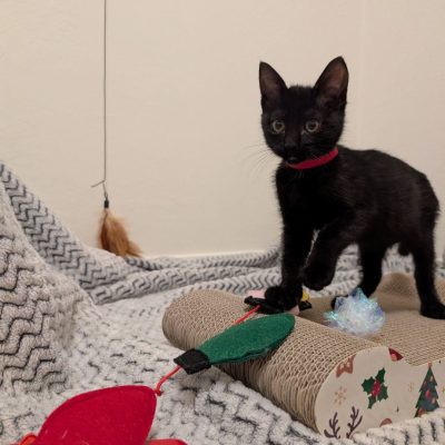 PXL_20251119_005720943