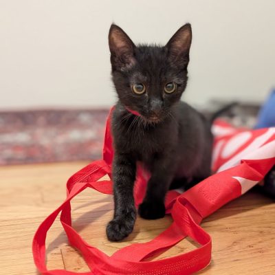 PXL_20251119_010517633.PORTRAIT