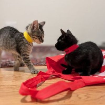 PXL_20251119_010600219.PORTRAIT