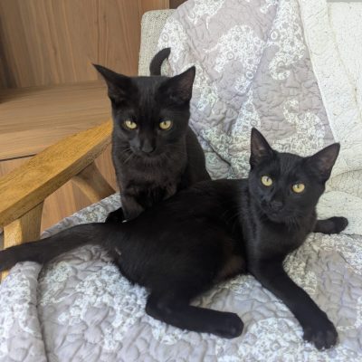 PXL_20251130_211611266