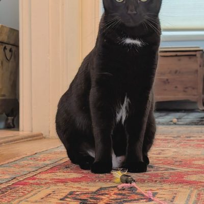 PXL_20251219_215901345.NIGHT~2