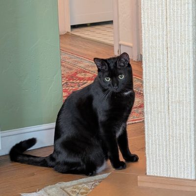 PXL_20251219_220240362~2