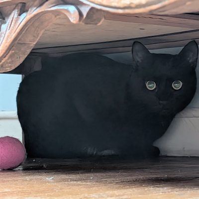 PXL_20251219_221030541.NIGHT~2