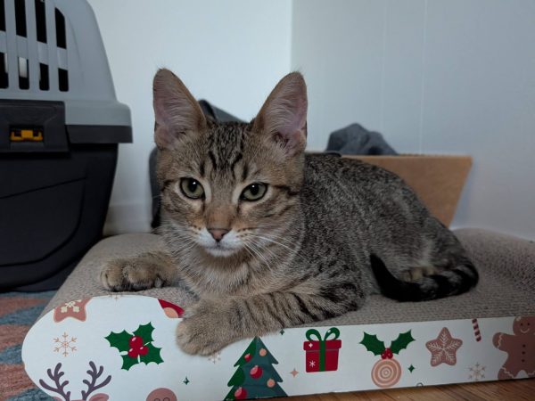 PXL_20260401_014700872