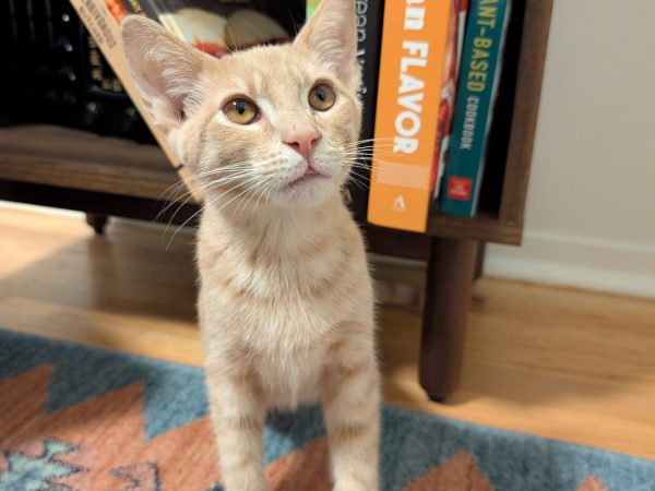 PXL_20260401_015935484