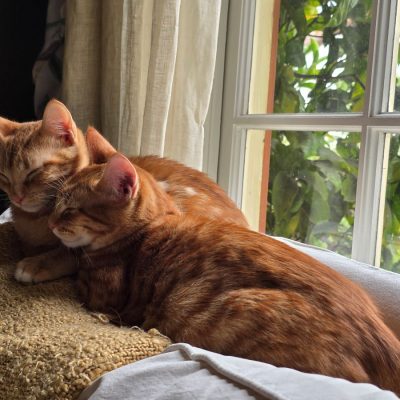 Simon&Theodore2
