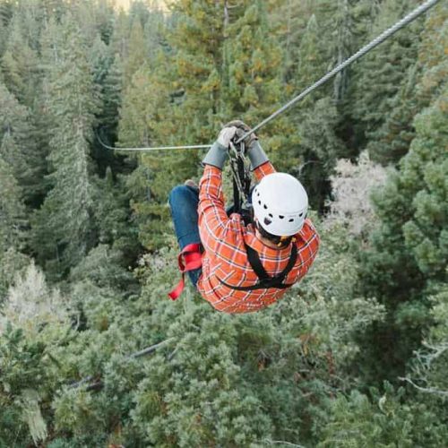 SonomaZipline25