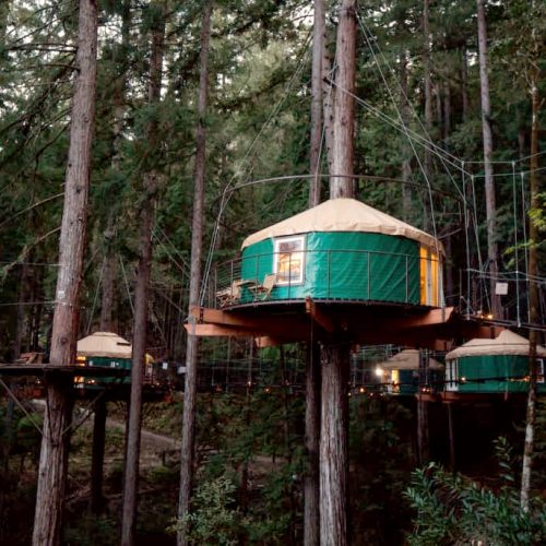 SonomaZipline5