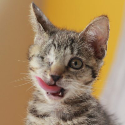 Timmy2 IMG_1230