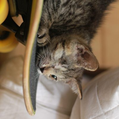 Timmy4 IMG_1249